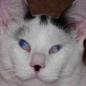 Meet your Posher, Matt